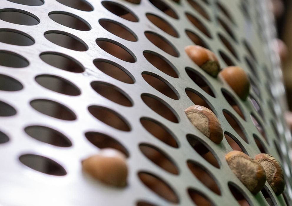 Nocciola piemonte IGP